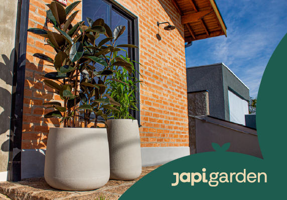 Jardinagem